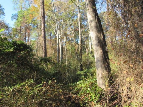 Tiny photo for 0 Stonebridge Rd, Tifton, GA 31794 (MLS # 139116)