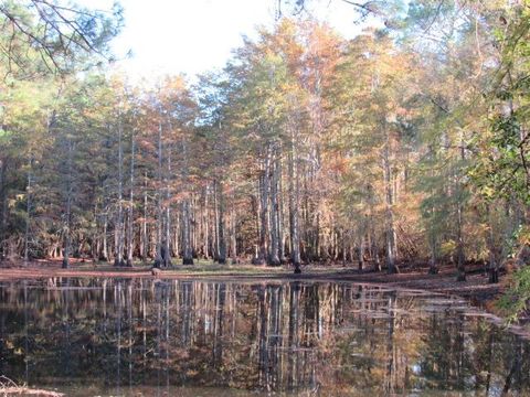 Photo of 0 Stonebridge Rd, Tifton, GA 31794 (MLS # 139116)