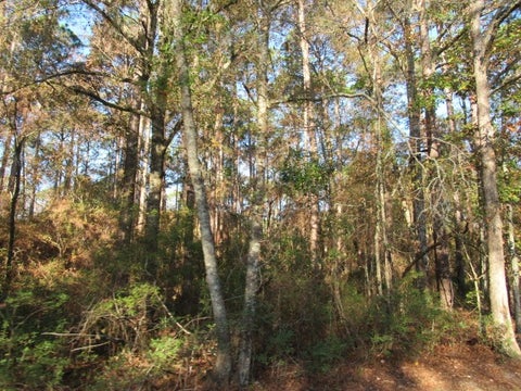 Tiny photo for 0 Stonebridge Rd, Tifton, GA 31794 (MLS # 139116)