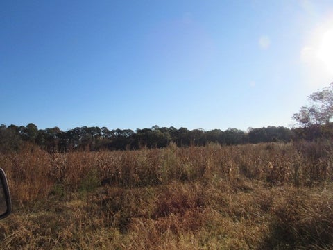 Tiny photo for 0 Stonebridge Rd, Tifton, GA 31794 (MLS # 139116)