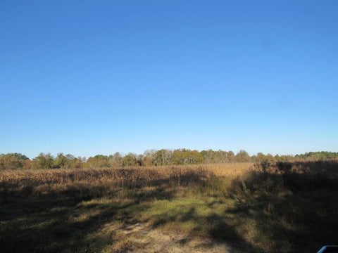Tiny photo for 0 Stonebridge Rd, Tifton, GA 31794 (MLS # 139116)