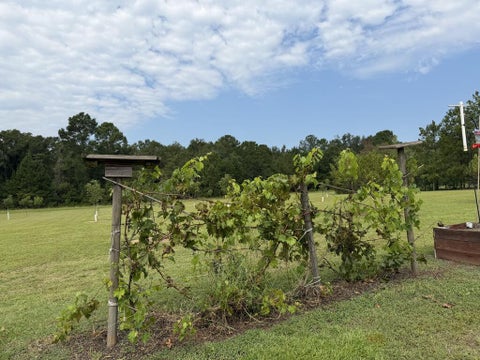 Tiny photo for 0 Aloe Road, Fitzgerald, GA 31750 (MLS # 143058)