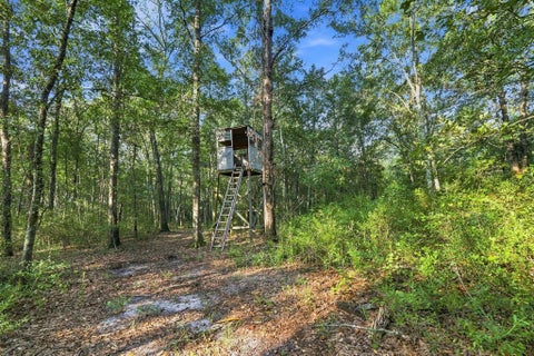 Tiny photo for 0 Aloe Road, Fitzgerald, GA 31750 (MLS # 143058)