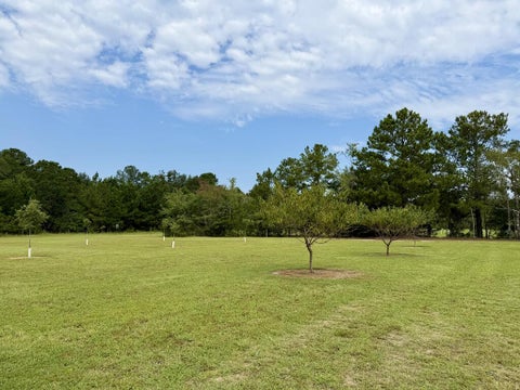 Tiny photo for 0 Aloe Road, Fitzgerald, GA 31750 (MLS # 143058)