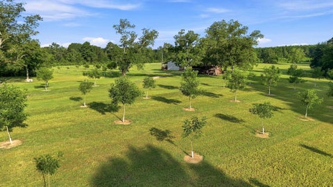Tiny photo for 0 Aloe Road, Fitzgerald, GA 31750 (MLS # 143058)