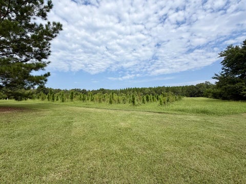 Tiny photo for 0 Aloe Road, Fitzgerald, GA 31750 (MLS # 143058)