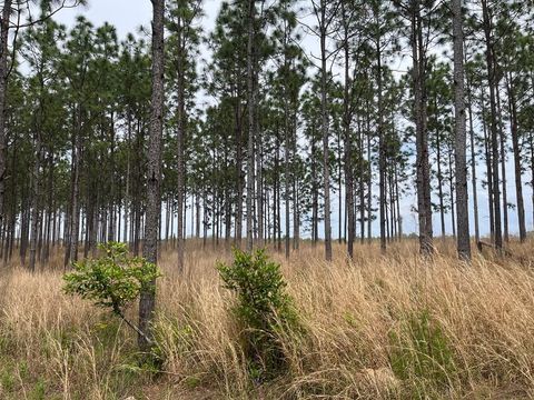 Photo of 265 Williford Rd, Rebecca, GA 31783 (MLS # 138293)