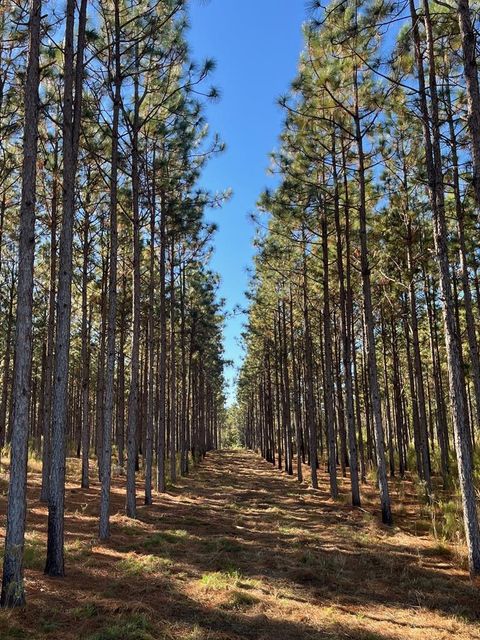 Photo of 265 Williford Rd, Rebecca, GA 31783 (MLS # 138293)