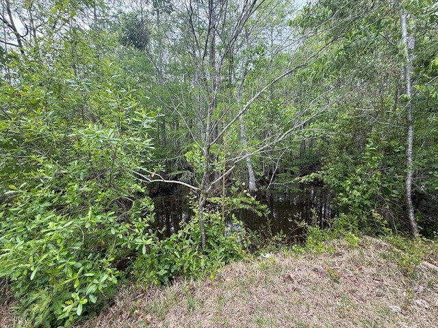 348 Pleasure Lake Lane