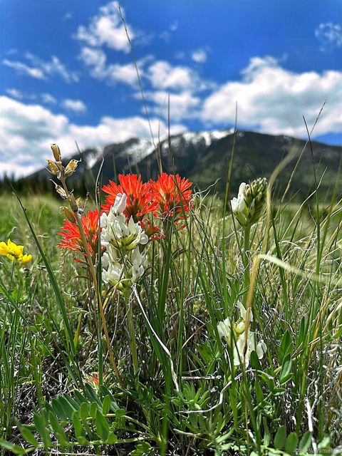 Photo of Lot 29 Aspen Highlands, Elk Mountain, WY 82324 (MLS # 250367)