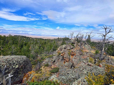 Photo of TBD off of Axe Handle Road, Laramie, WY 82070 (MLS # 260717)
