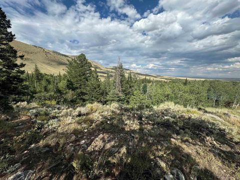 Photo of 10 Lookout Road, Centennial, WY 82055 (MLS # 240456)