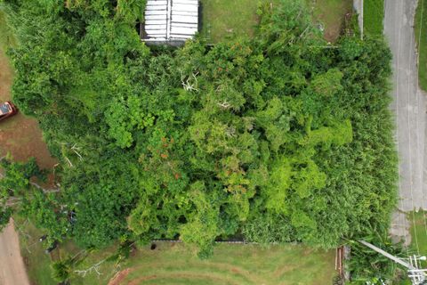 Lot 23 Block 6 Tract 178 Yigo  96929