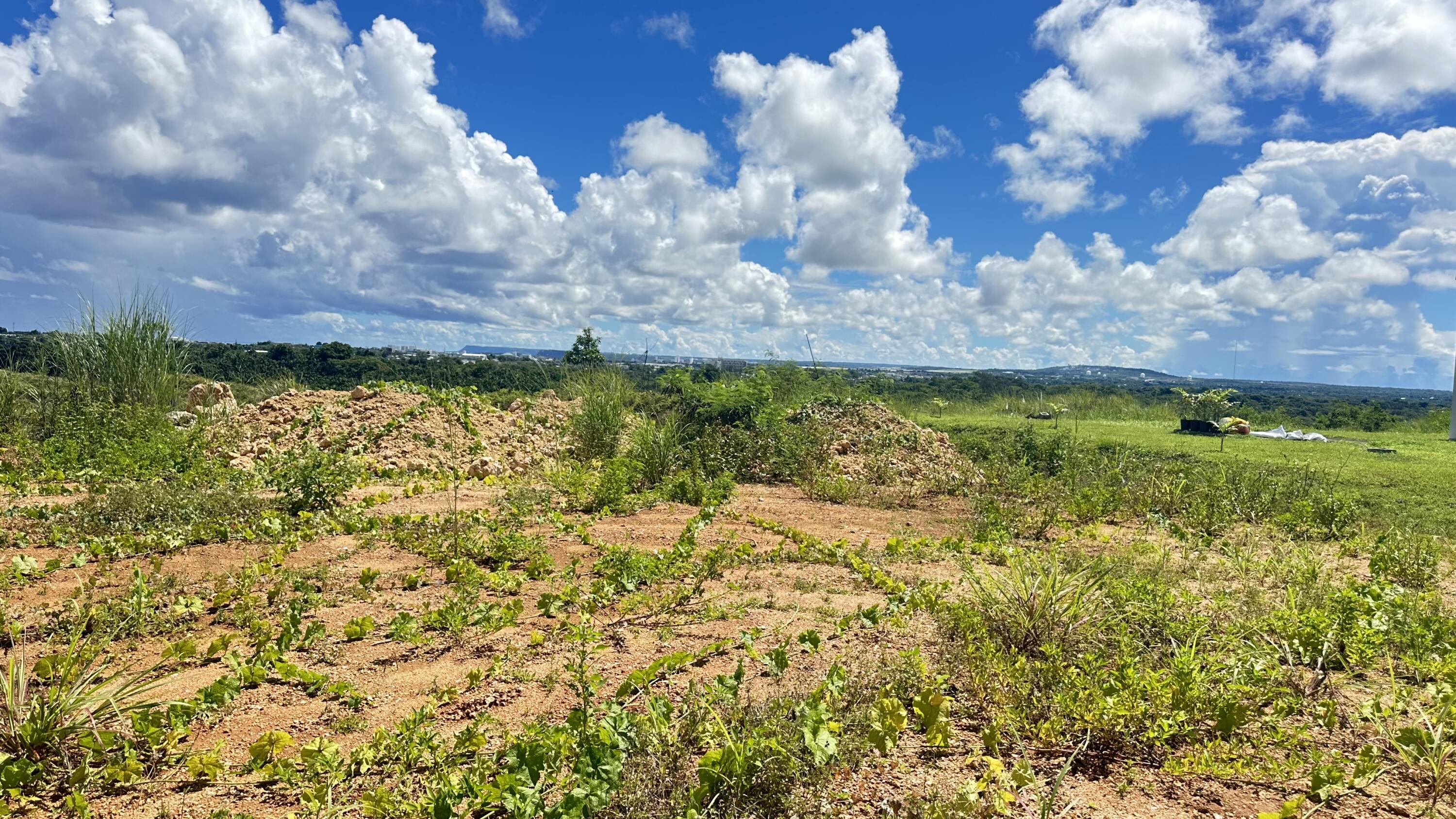 Off Dero Road