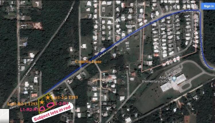 Camelia Lane (L1-2-R1,T293)