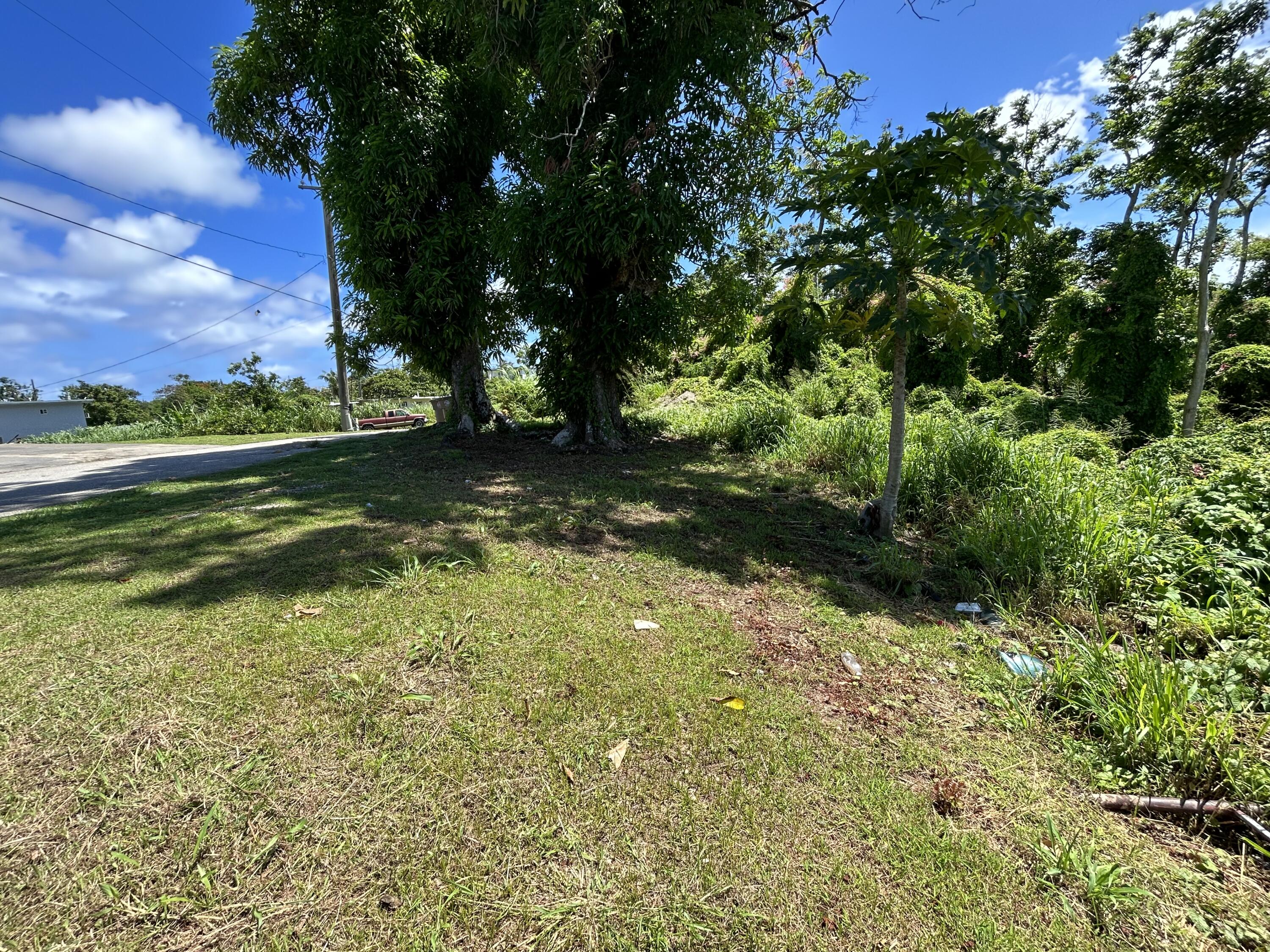 Taluba Rd. (M16 L141-12)