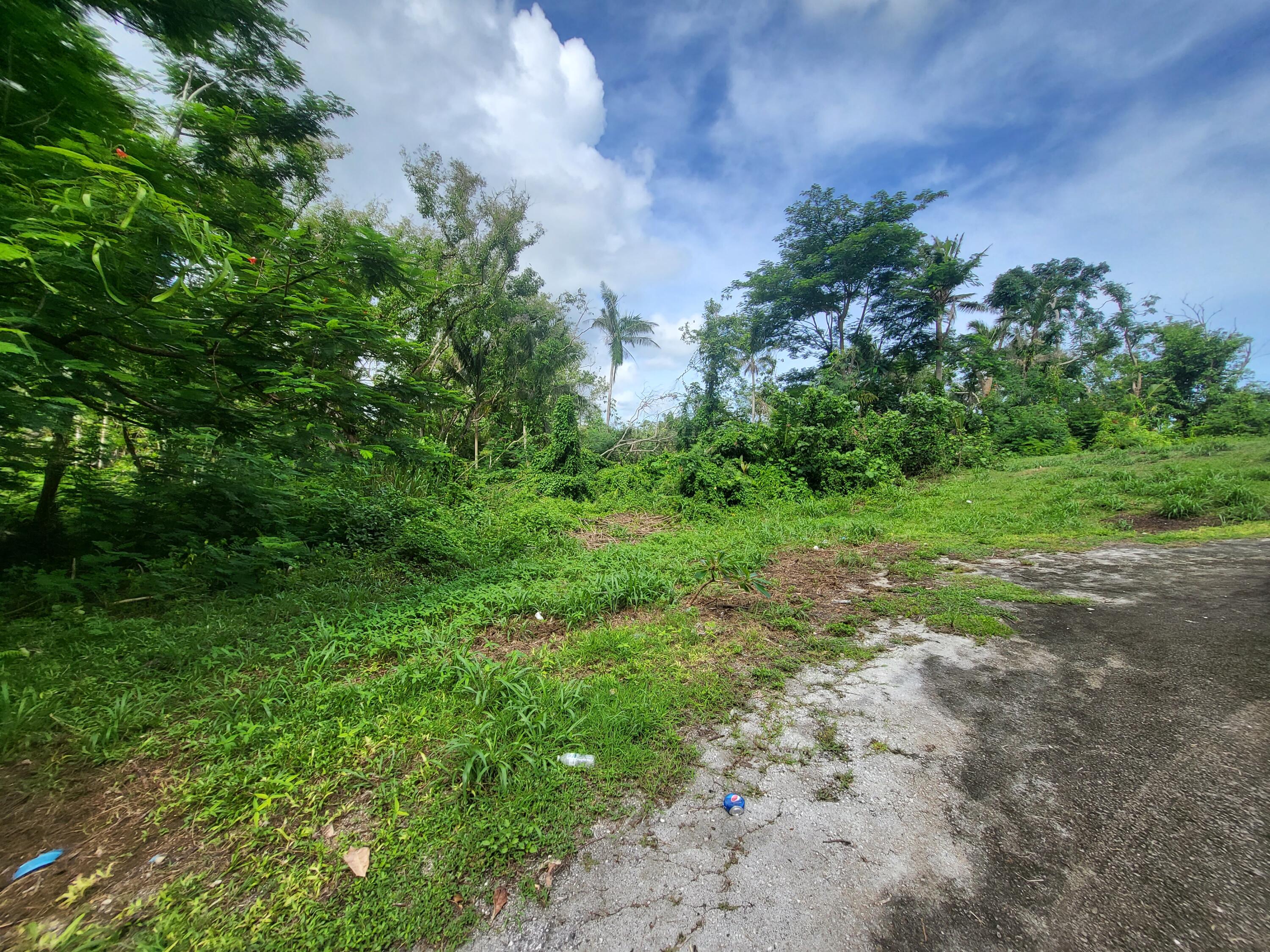 LOT 498-R10