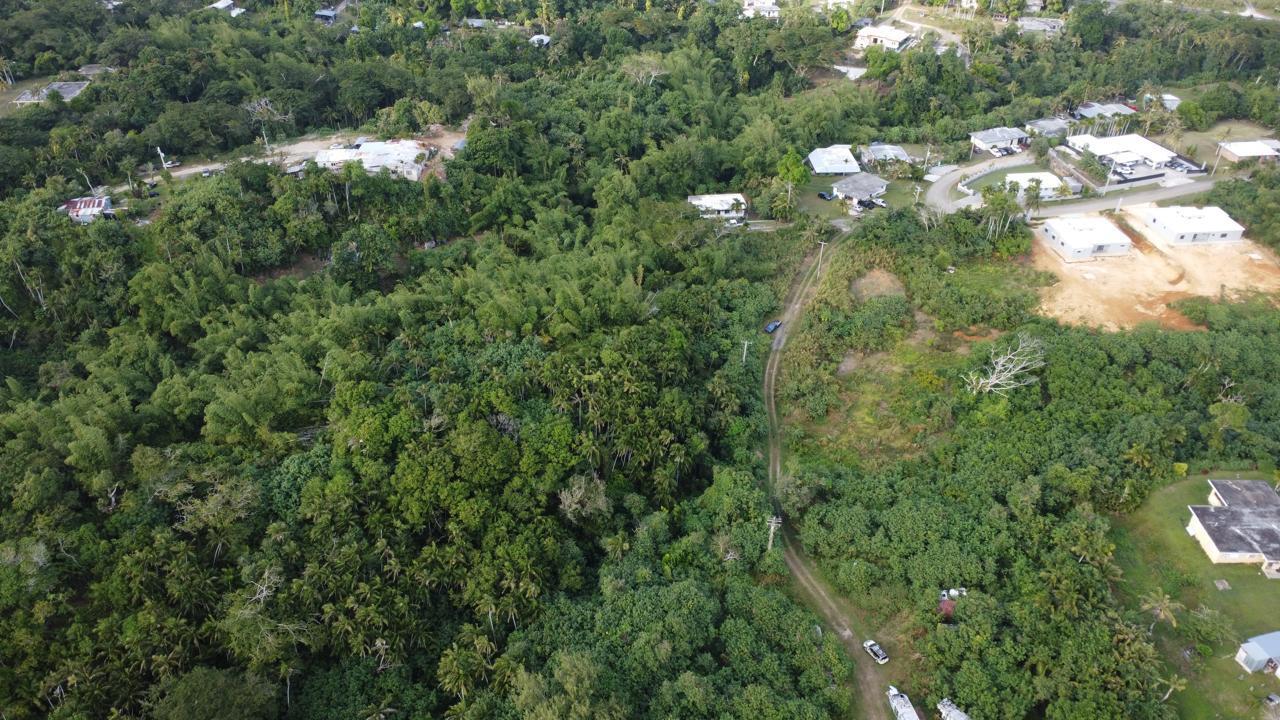 Off of Chalan Pago (Lower Lot)