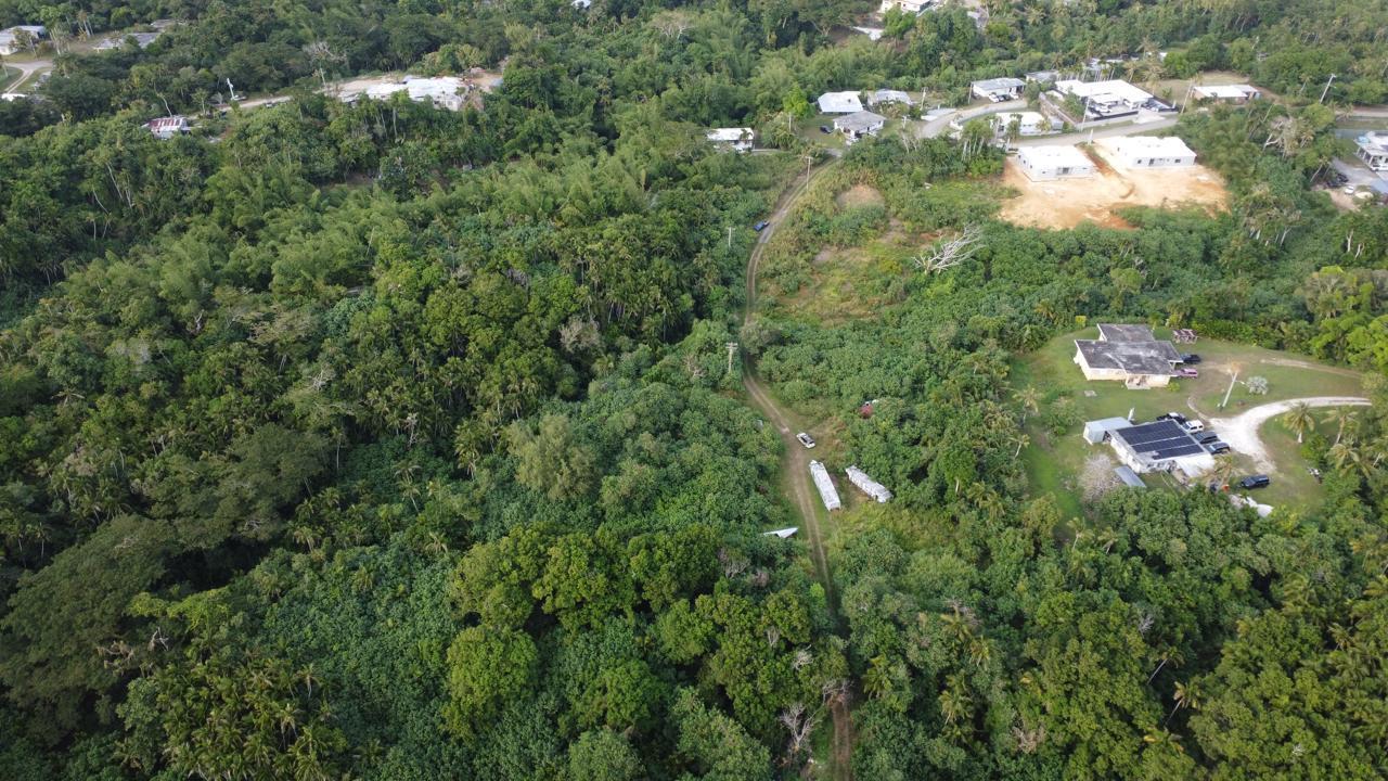 Off of Chalan Pago (Lower Lot)