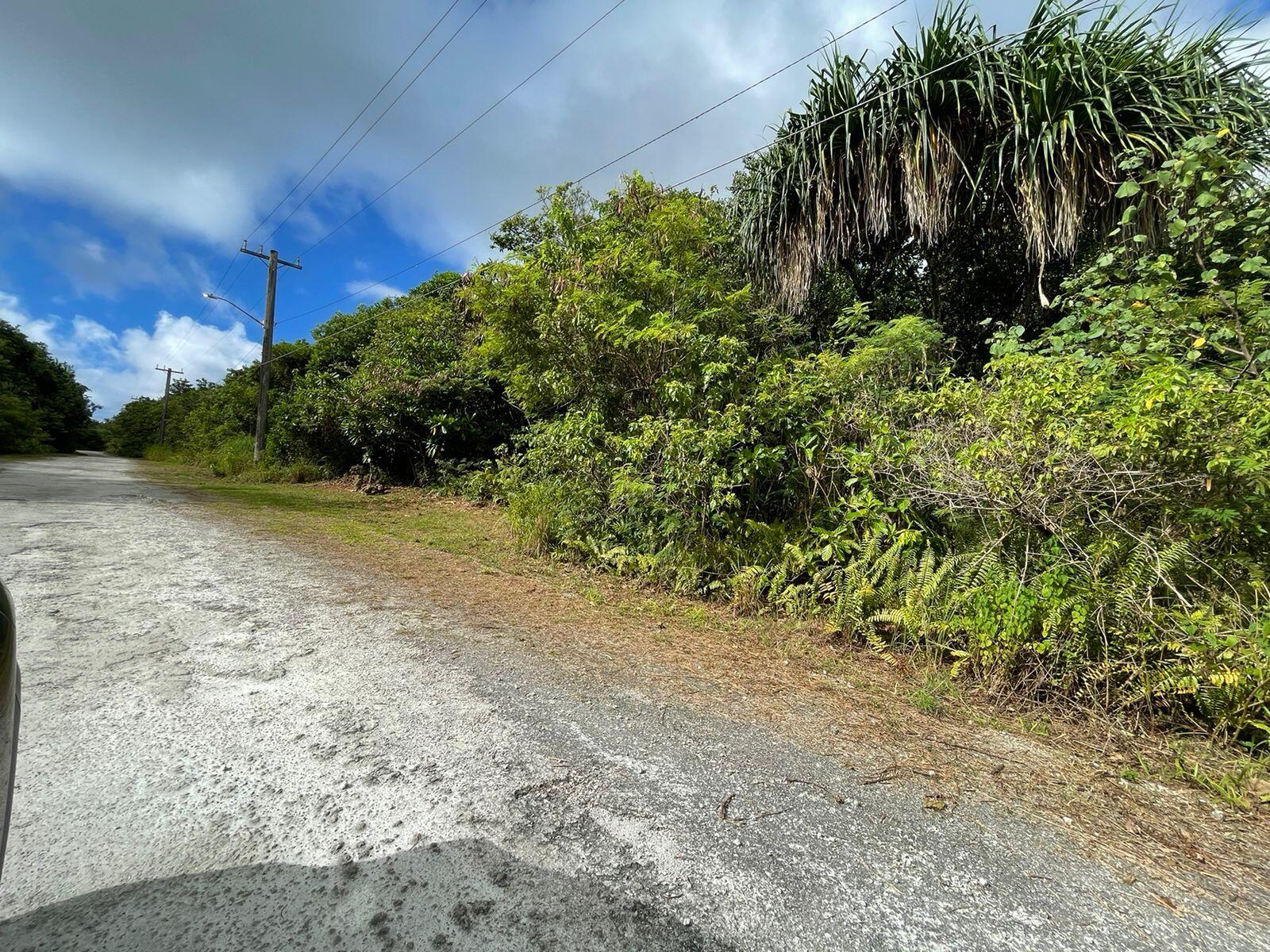 TRACT 290 (MULTIPLE)