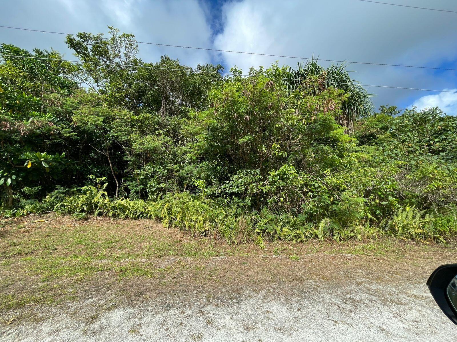 TRACT 290 (MULTIPLE)