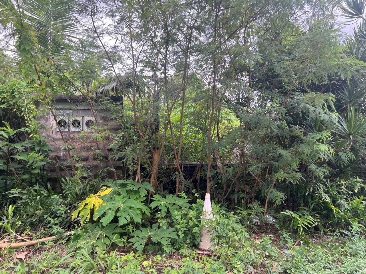 PAIPAI Street