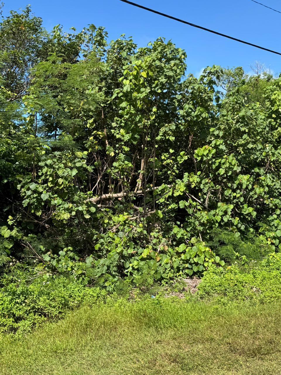 5294-1