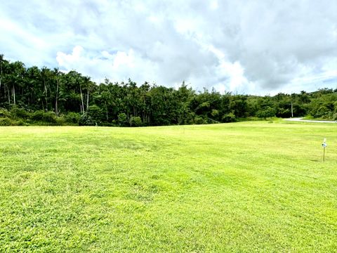 Off of Chalan Famha - L3287-10 Ordot-Chalan Pago  96910