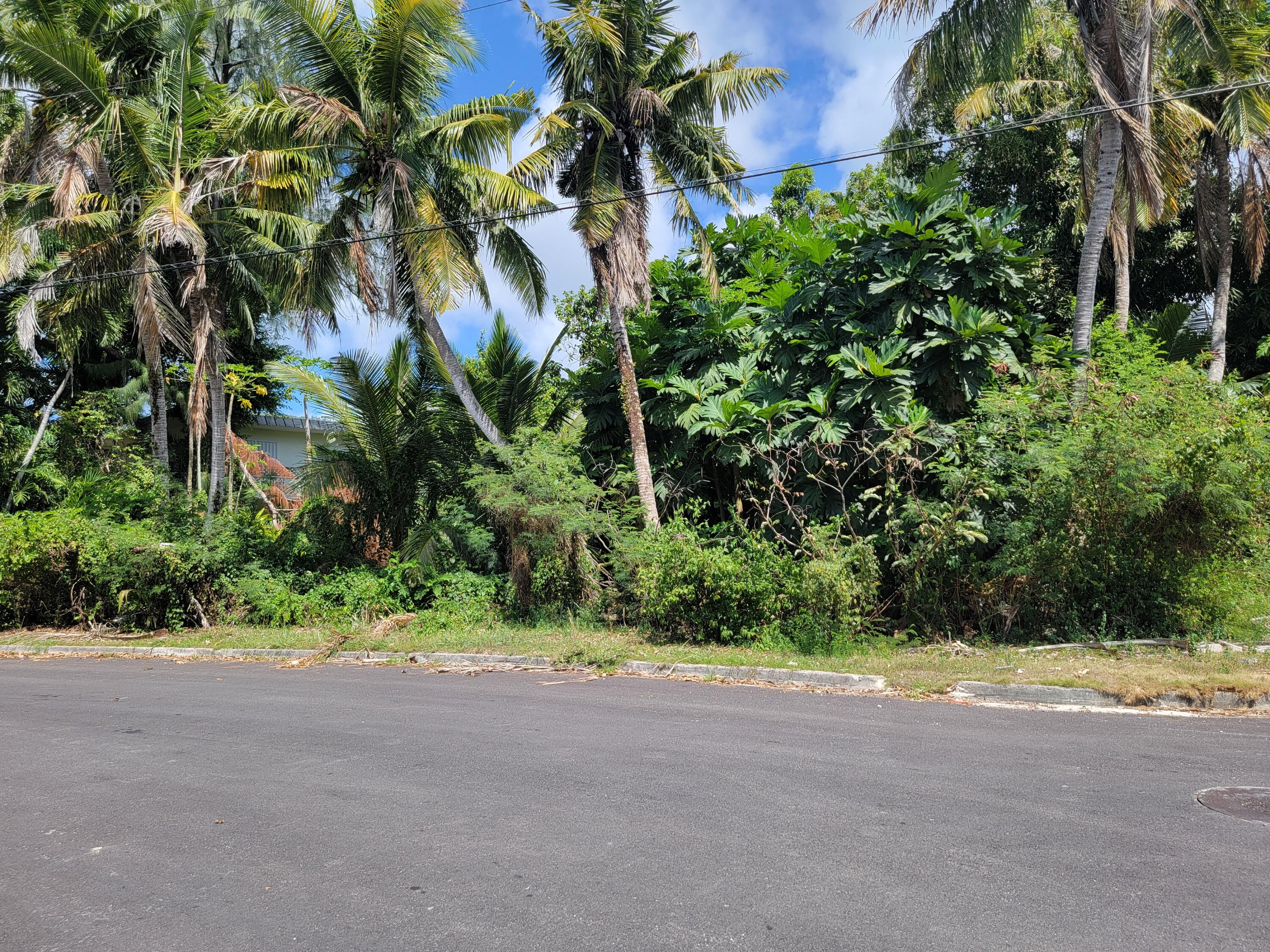 Gieger St/Tomas Mesa