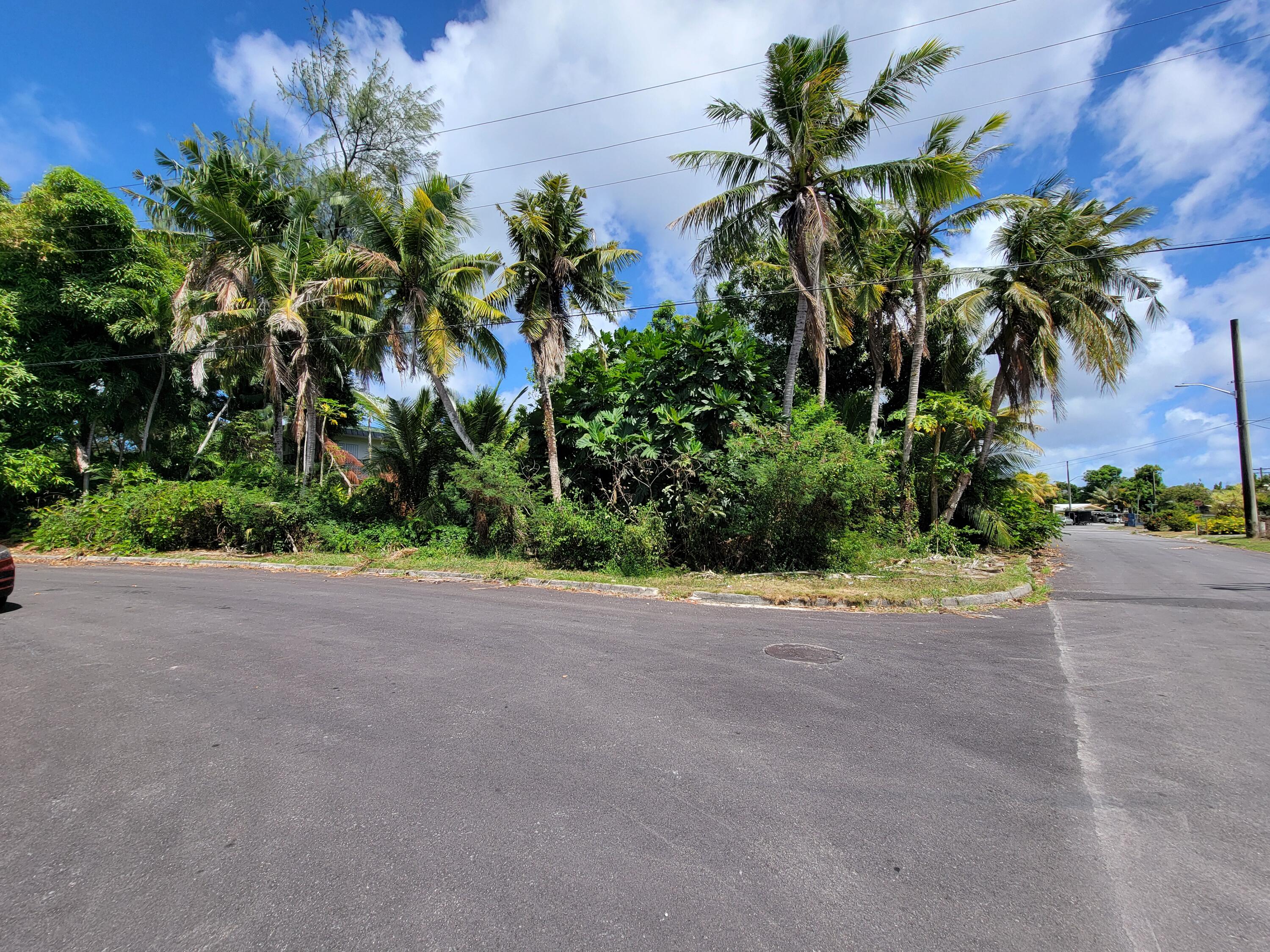 Gieger St/Tomas Mesa