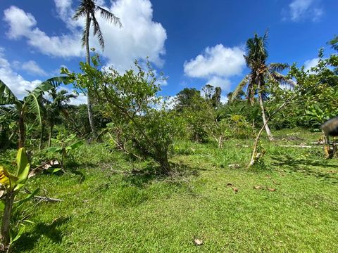 Off Papatguan Avenue Malesso  96915