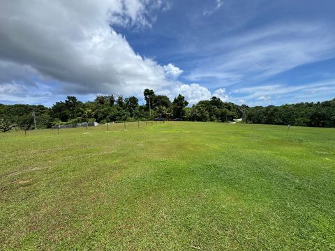 Lot 3287-6 Ordot-Chalan Pago  96910