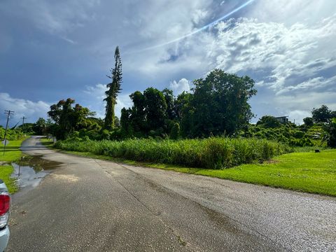 Paasan St. Agana Heights  96910