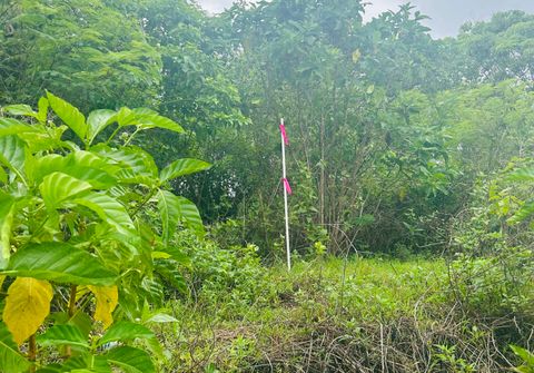 L3 B1 Ilang Ilang Drive Ordot-Chalan Pago  96910
