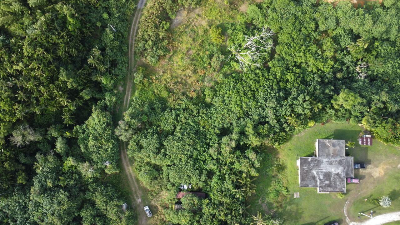 Off of Chalan Pago (Upper Lot)