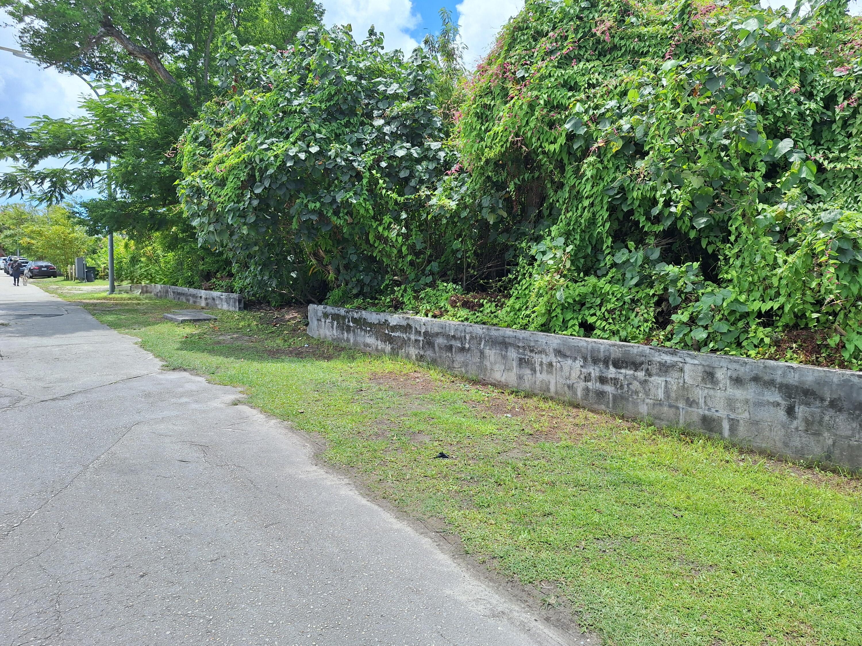 Fujita Road
