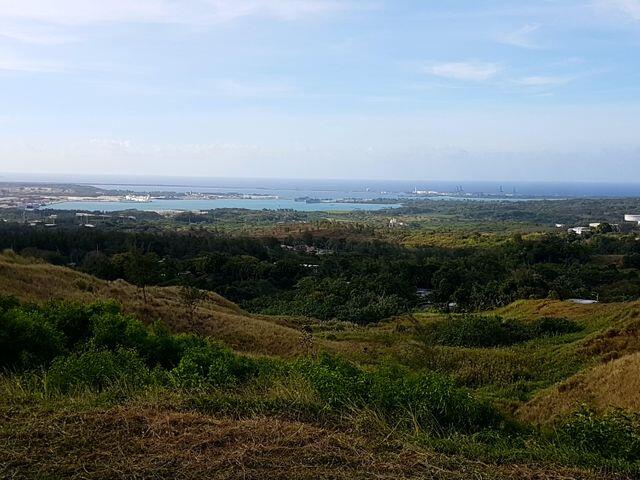 Buena Vista Drive