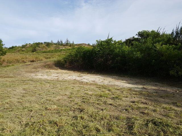 Buena Vista Drive