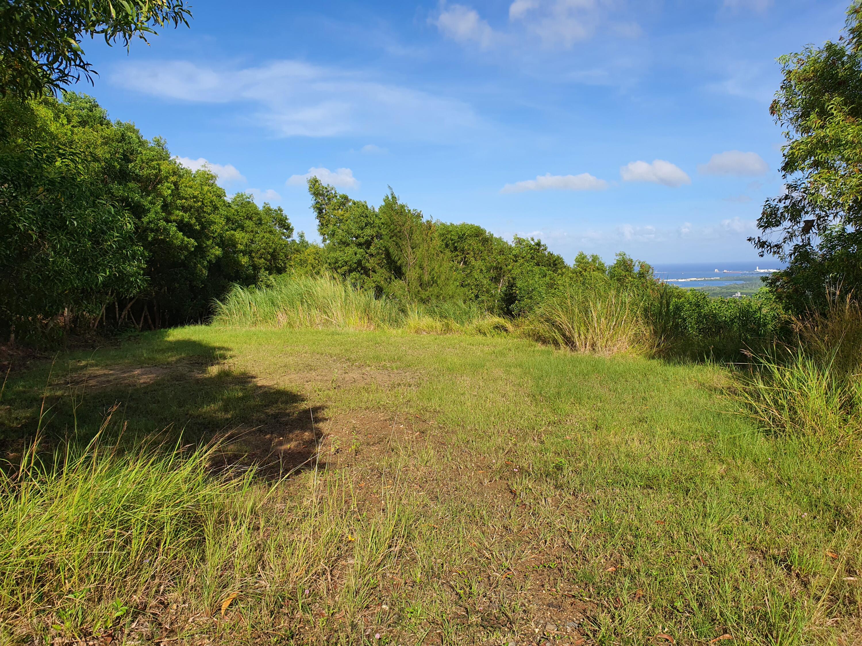 Buena Vista Drive