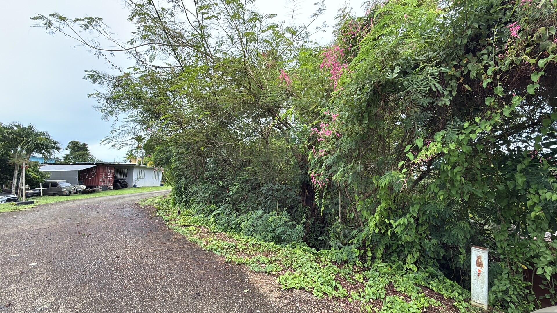 Taluba Rd. (M16 L141 -21)