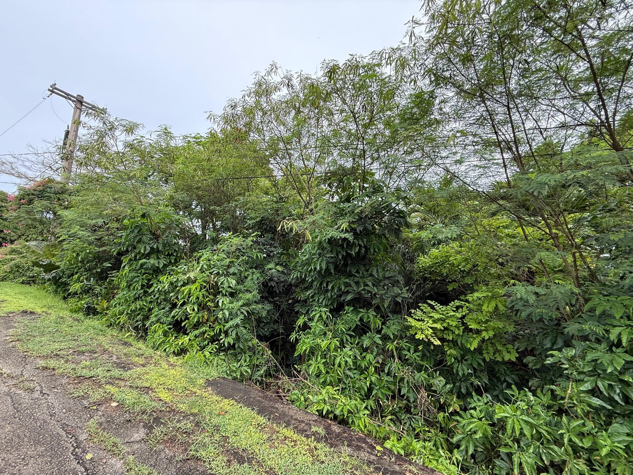 Taluba Rd. (M16 L141 -21)