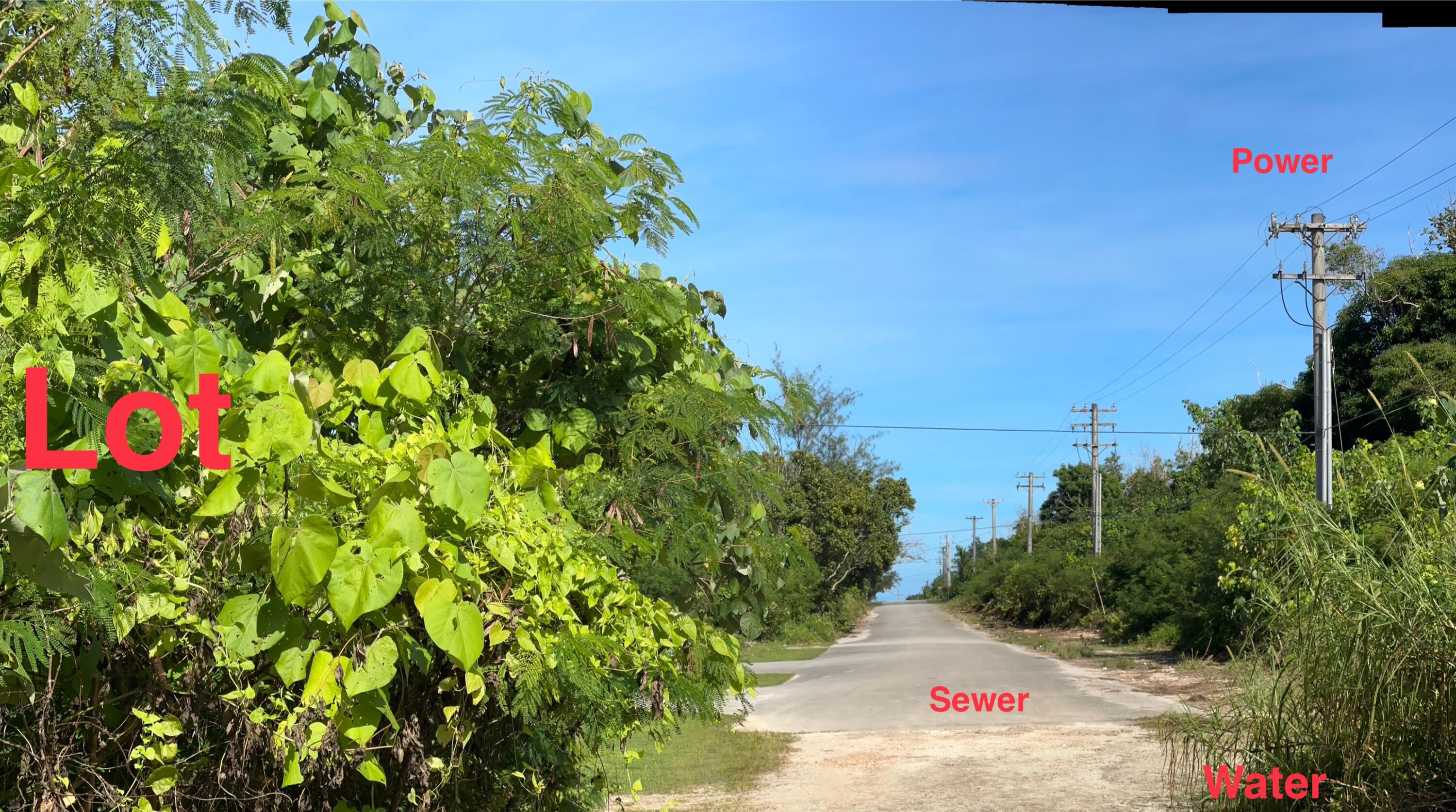 Artero Drive