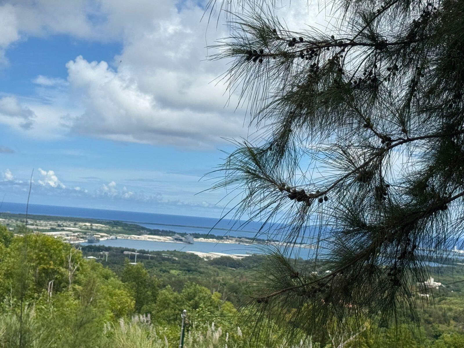 Buena Vista Drive