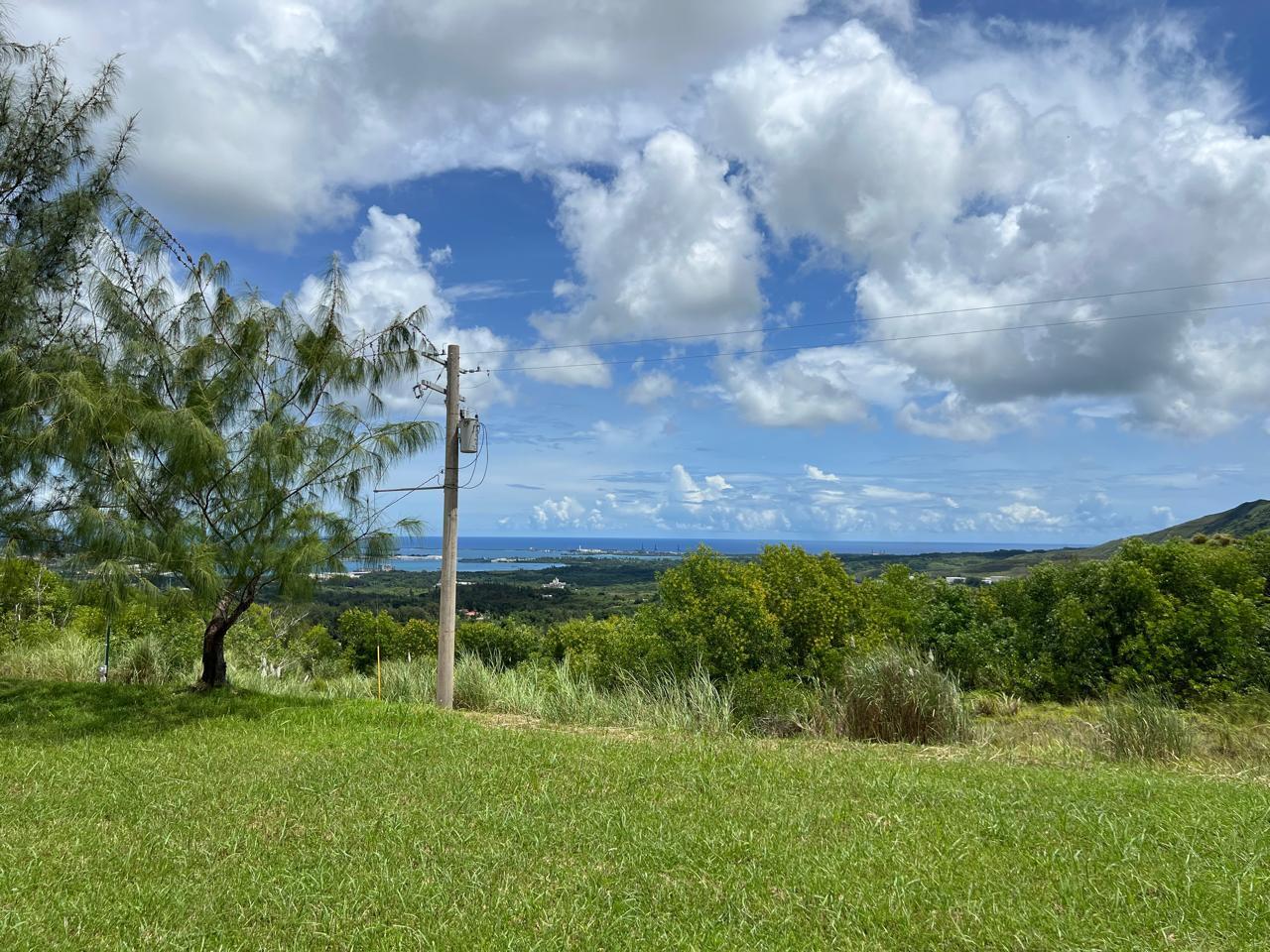 Buena Vista Drive