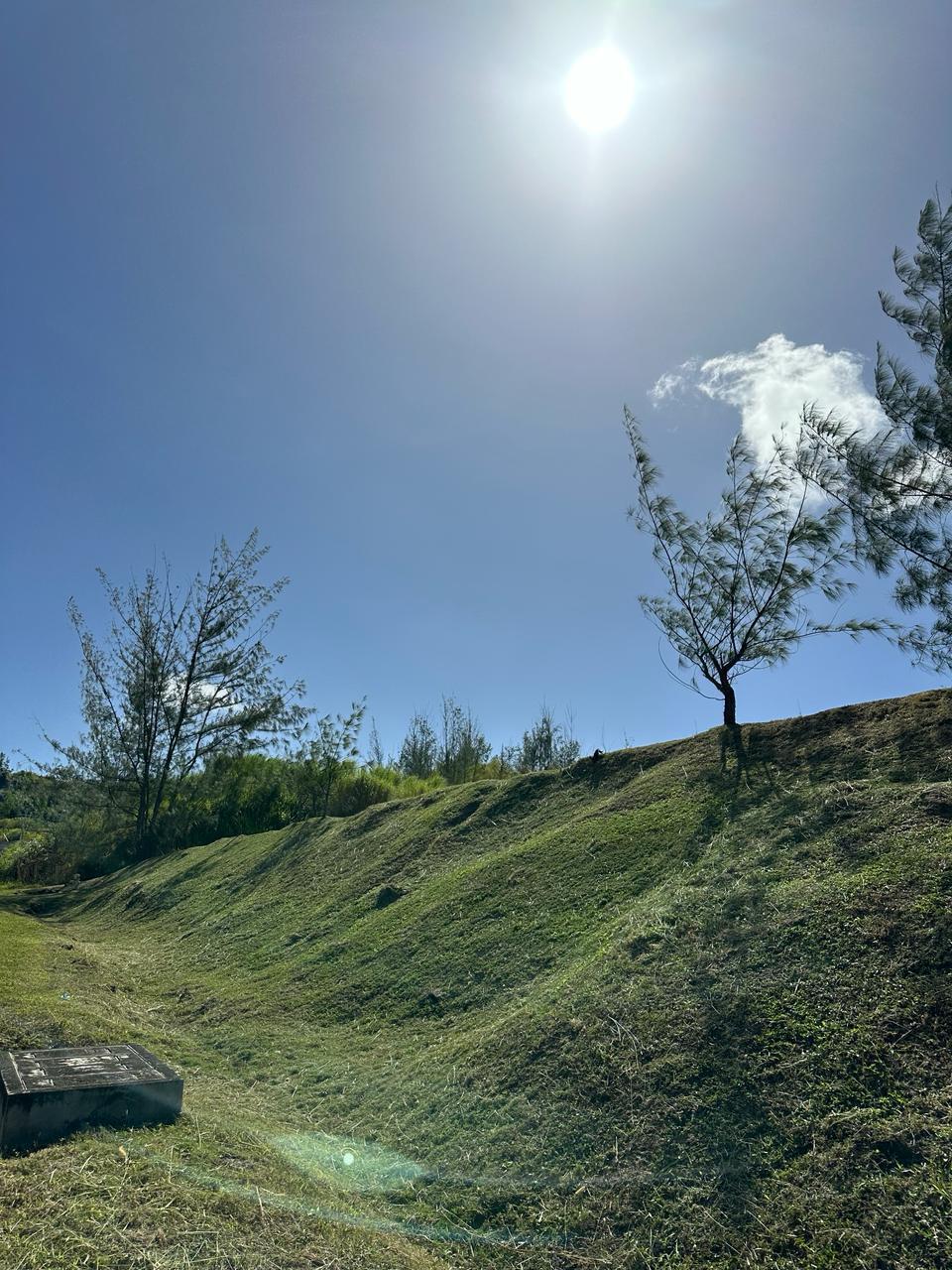 Buena Vista Drive