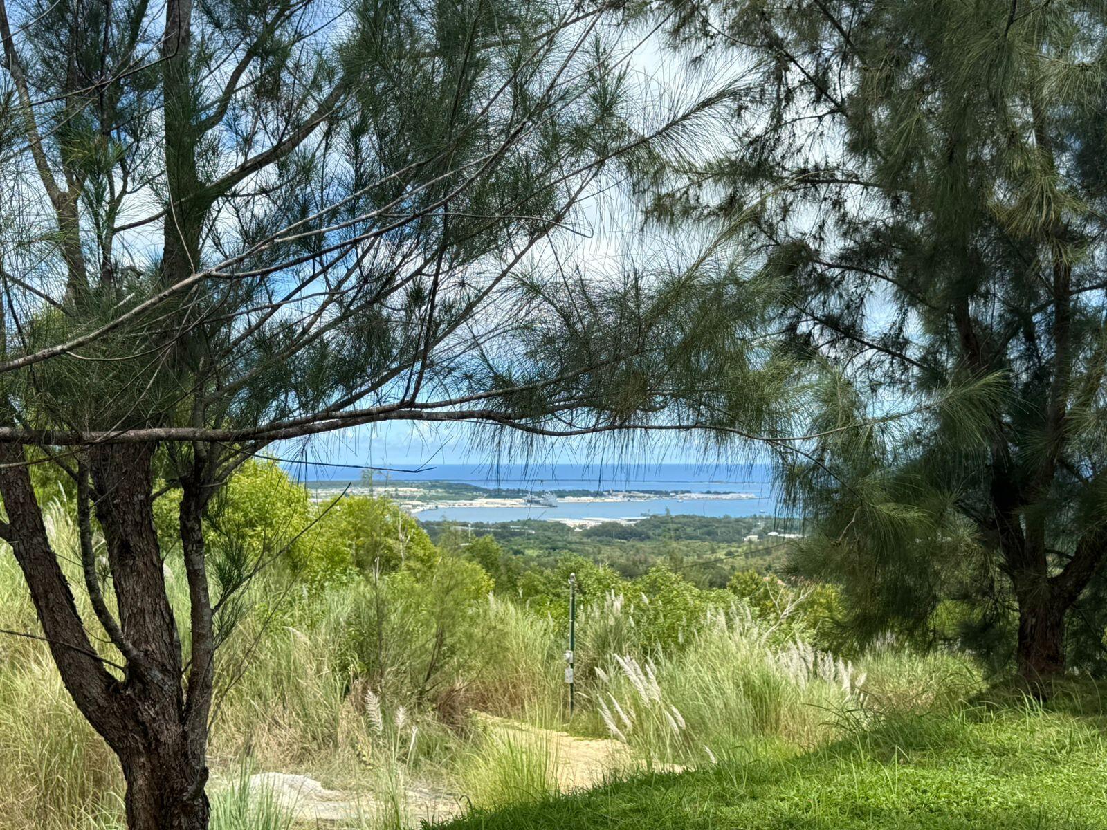 Buena Vista Drive