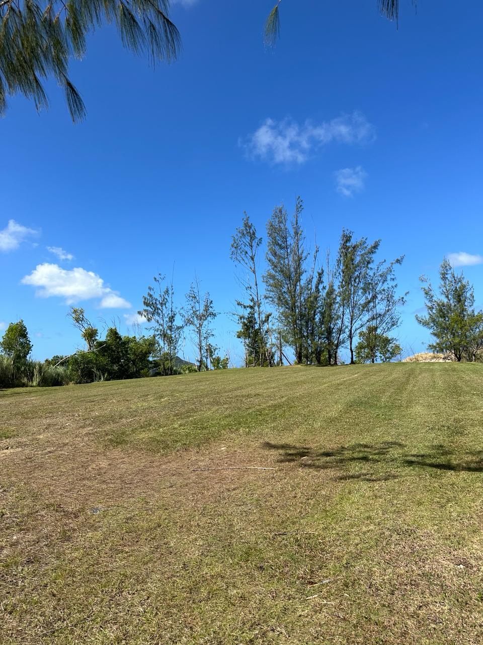 Buena Vista Drive