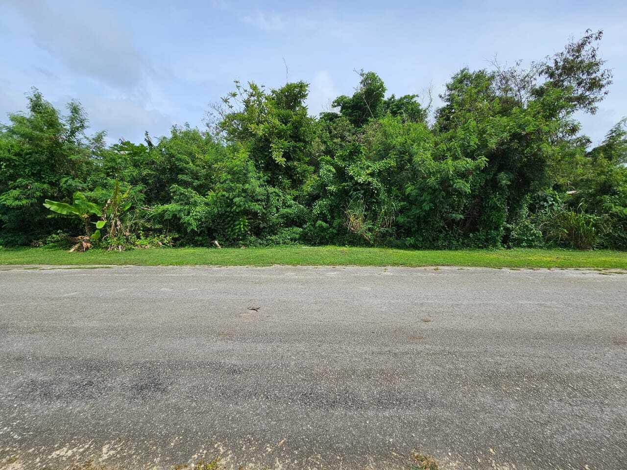 Lot 1-1