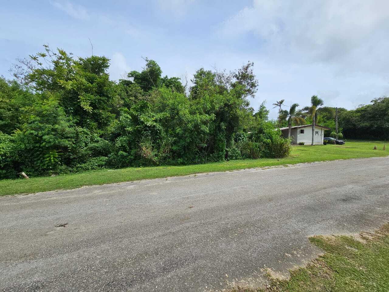 Lot 1-1