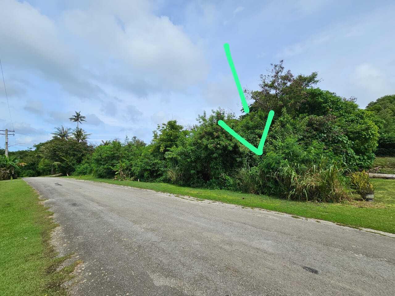 Lot 1-1